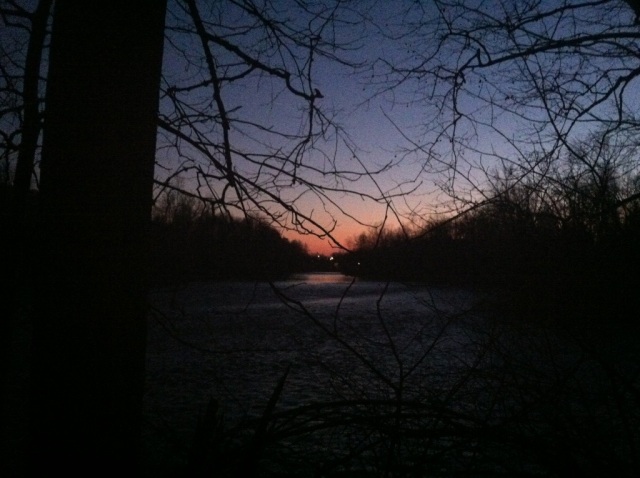 Sunsets in the woods.